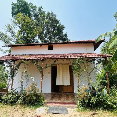 Payal Homestay, Kera